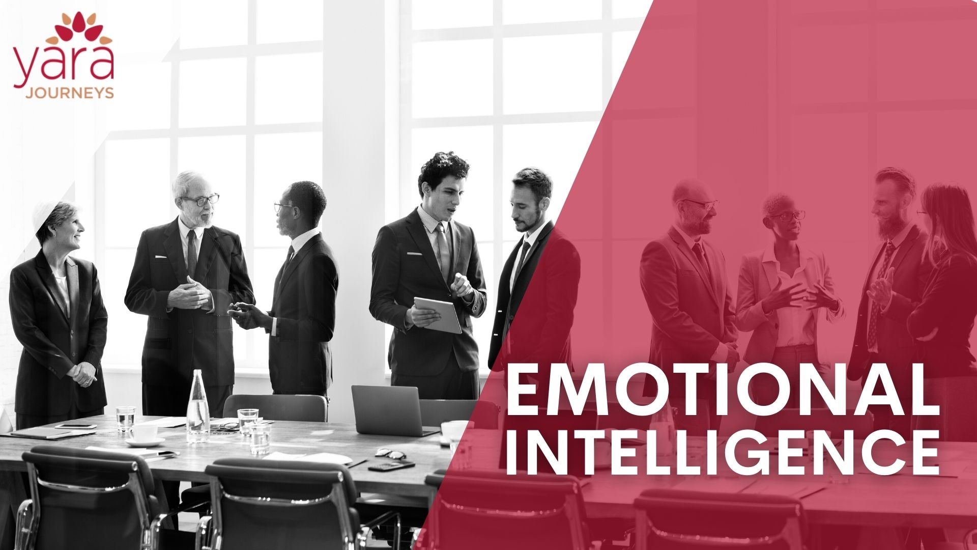 Emotional Intelligence
