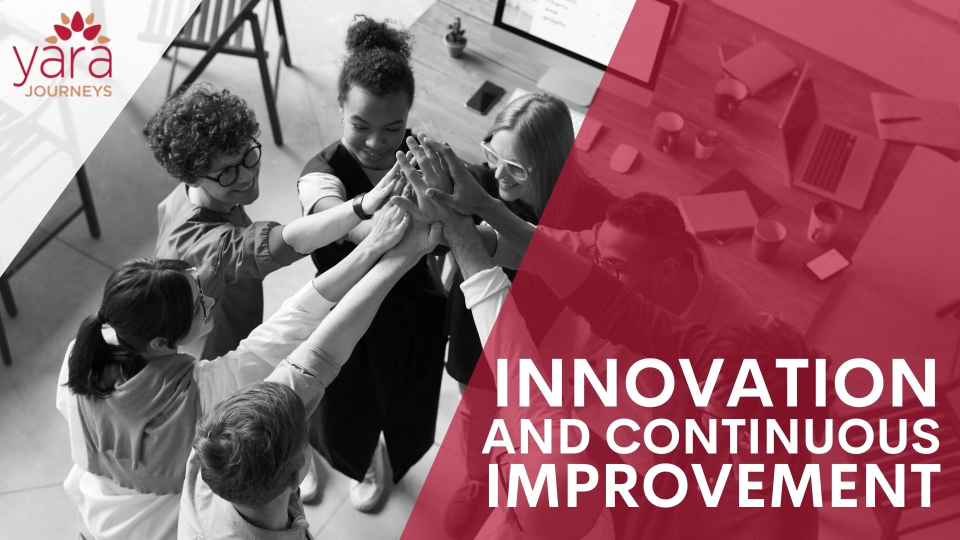 Innovation and continous improvement